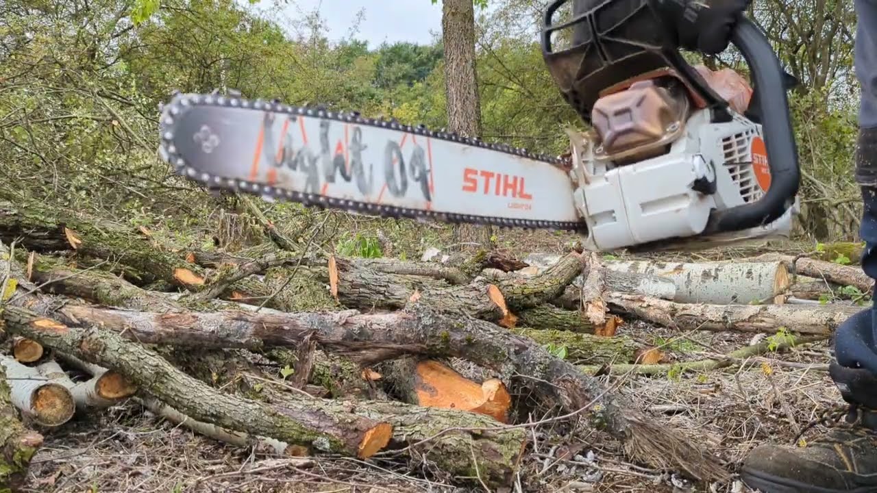 Fakitermelés helyett bokrászkodás!