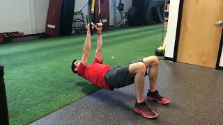 TRX Bridge Inverted Row