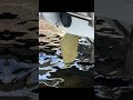 New rudder on this #rudder #mobilemarinemechanic #viral #trending