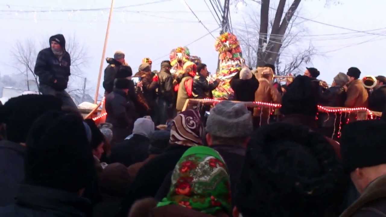 caprele de la pancesti bacau