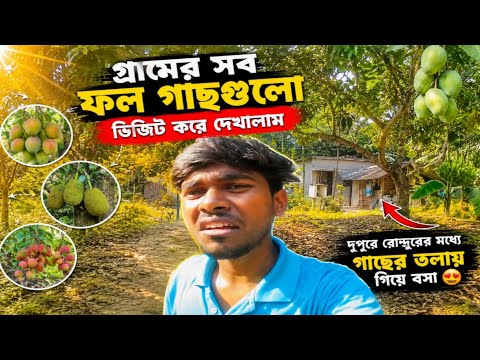 গ্রামের সব ফল গাছ ভিজিট করলাম 😍 দুপুরের রোদে গাছের তলায় শান্তি! | Village Vlog