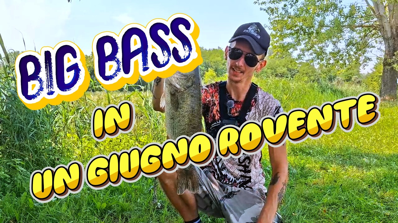 BASSFISHING ESTIVO: Caldo estremo e apatia