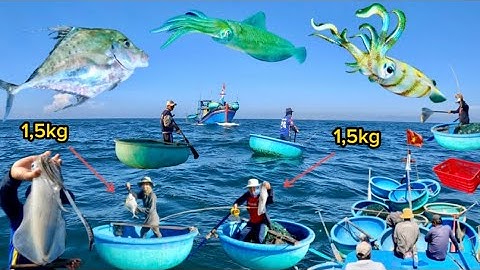 Câu Mực Lá Ở Điểm Rạng Khơi | Câu Được Con Cá Lão | Cảnh 86