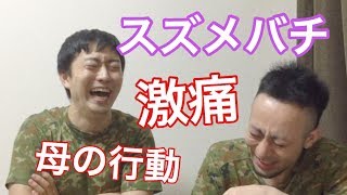 スズメバチに刺された佐藤・母の知恵・の話【Freeトーク】