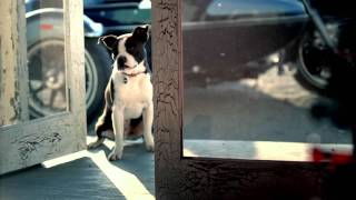 The Mill - Mastercard (Lost Dog)