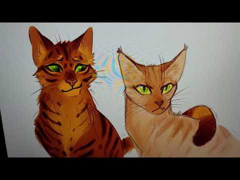 Mothwing x Leafpool - Lovley