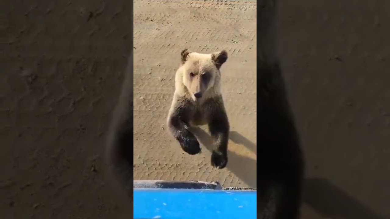 Мой друг бежит ко мне навстречу.