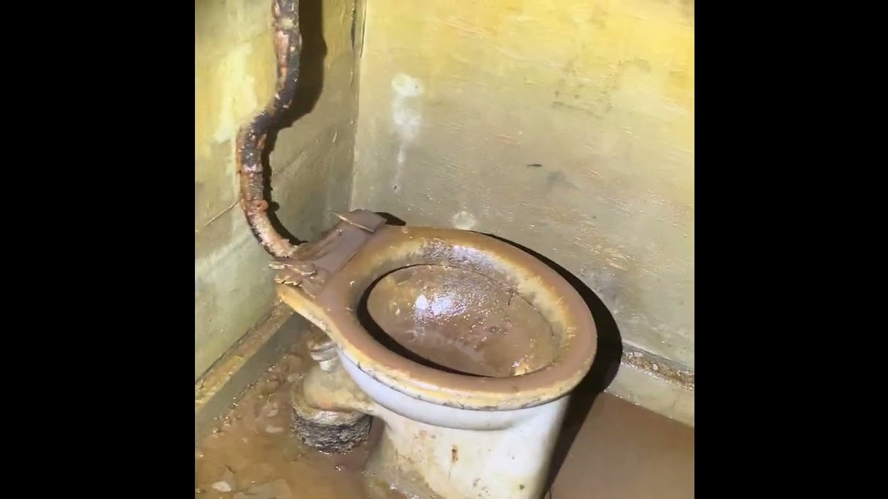 Der erste Eintritt in den Adlon-Bunker, 2025