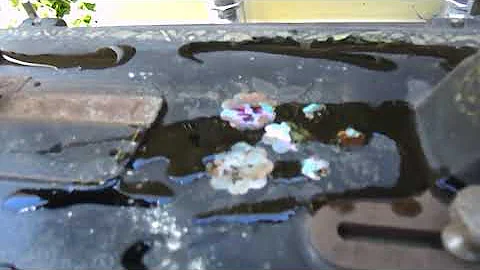 Wertheim  Mother of pearl Part 1 , Clean up.