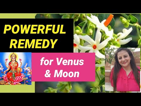 POWERFUL remedy for Venus & Moon | How to get luxury & beauty -3 #venus #remedy #upay