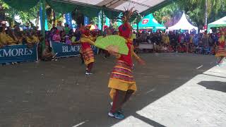 MAUMERE STIKES PELAMONIA