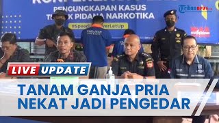 Tanam 2 Batang Ganja, Pria di Balikpapan Nekat Jadi Pengedar, Terkuak seusai Temannya Tertangkap