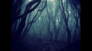 GHOST CAUGHT on Cam SPOOKY White Mist Encounter