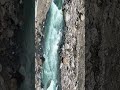 😍 #shortviral #shortsfeed #shoppingvideo #shorts #kedarnath #kedarnathdham