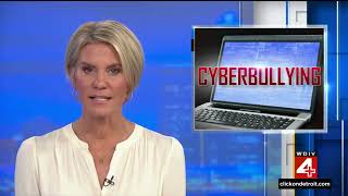 DIY #2  Cyberbullying Remix