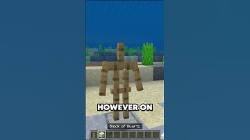 This Armor Stand Trick Only Works in Minecraft Bedrock Edition