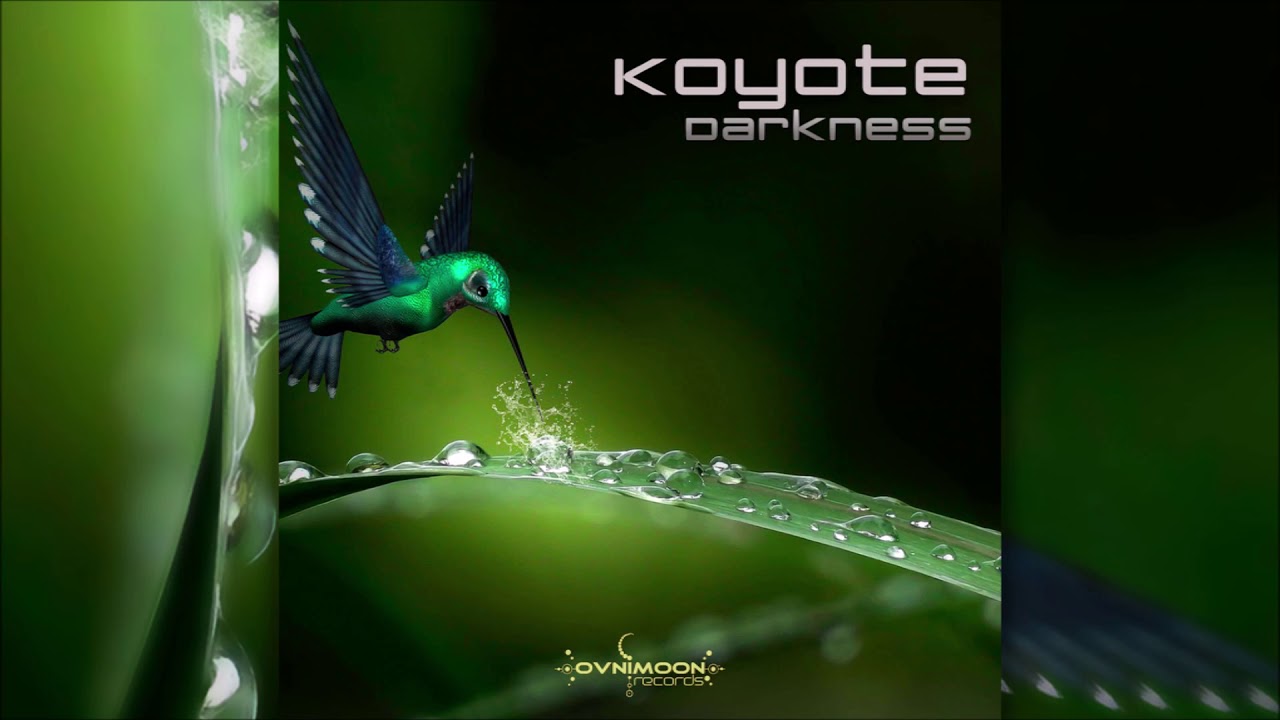 Watch Koyote - Darkness on YouTube Watch Koyote - Darkness on YouTube