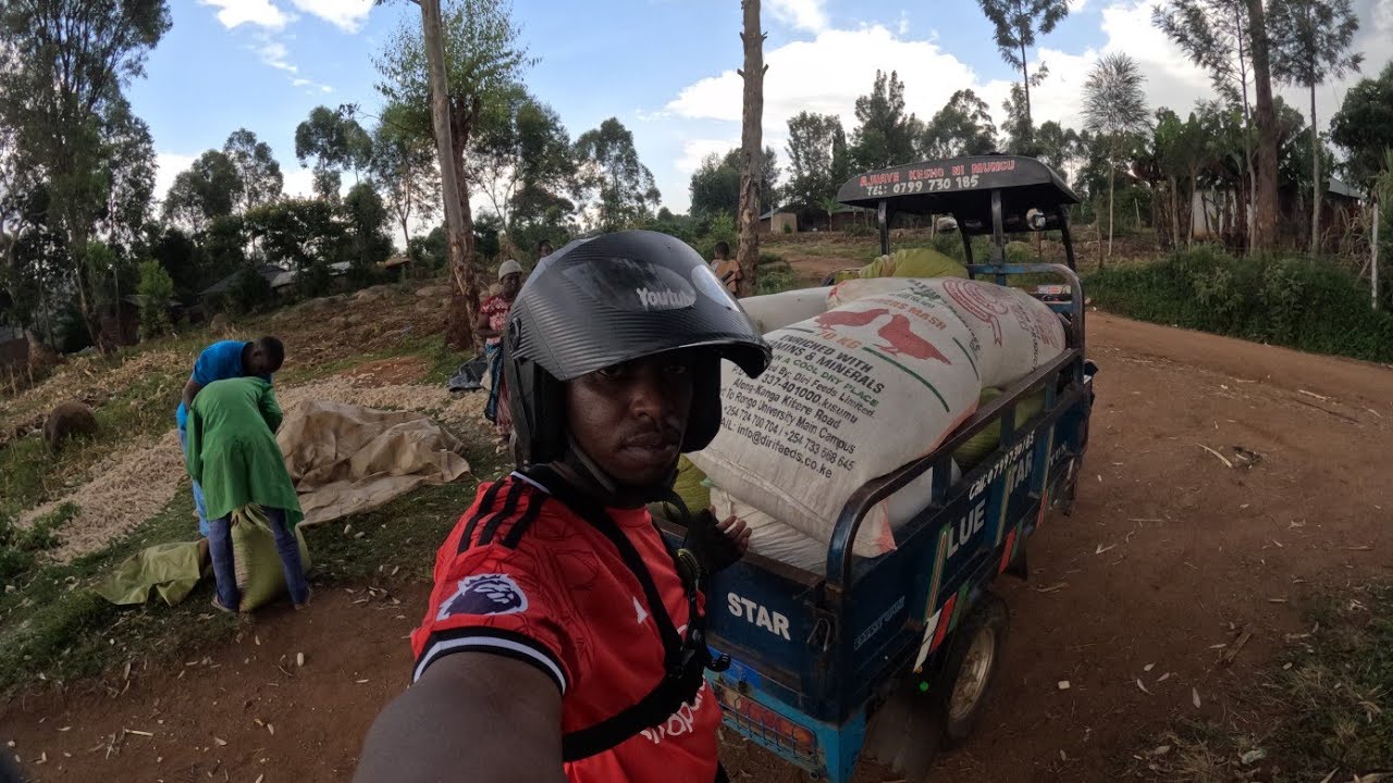 MEGA HARVEST!! ANOTHER RECORD SET AFTER VILLA 19, BUILDING THE MOST LUXURIOUS HOME IN 70 DAYS.