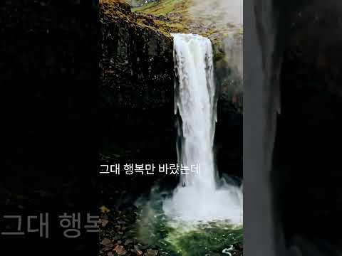 그대의향기 #초혼(장윤정)#그리움#슬픈사랑#그대행복#이별#장미가시#al#유튜브쇼츠