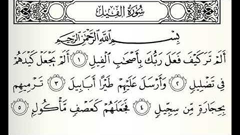 سورة الفيل القارئ خالد القحطاني