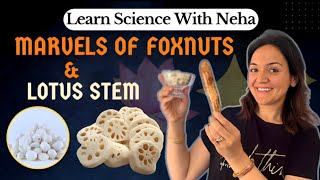 Sports Performance Marvels Of Foxnuts & Lotus Stem | Benefits of Lotus Plant | Learn Science With Neha