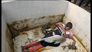 Girl Cleaning Mega Aquarium Giant Fish 4K Ultra HD