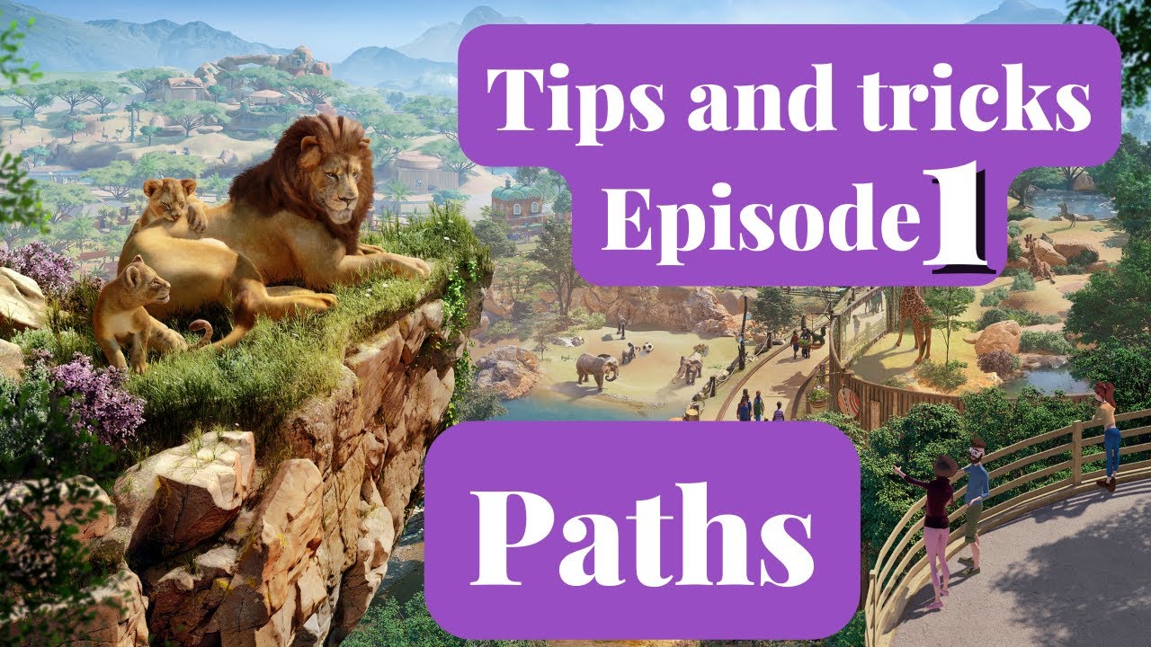 zoo path tutorial YouTube