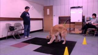 20110302哈威的DINGO響片塑形練習 3-2.wmv