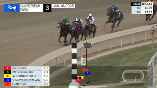 Vidéo de la course PMU MAIDEN CLAIMING