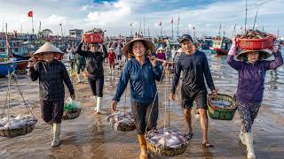 What Fishermen Bring Back From the Sea A Real Seafood Market in Vietnam