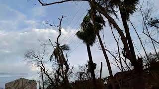 Cyclone Gaja Affect Place No And Electricity