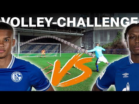 Volley-Challenge | Profis