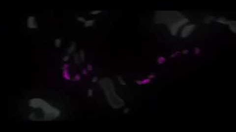 Clan Intro|First Video