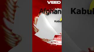 We Need out Of Box Solution To End War On Gaza insightfulnewshub24 war gaza israel  ukraine