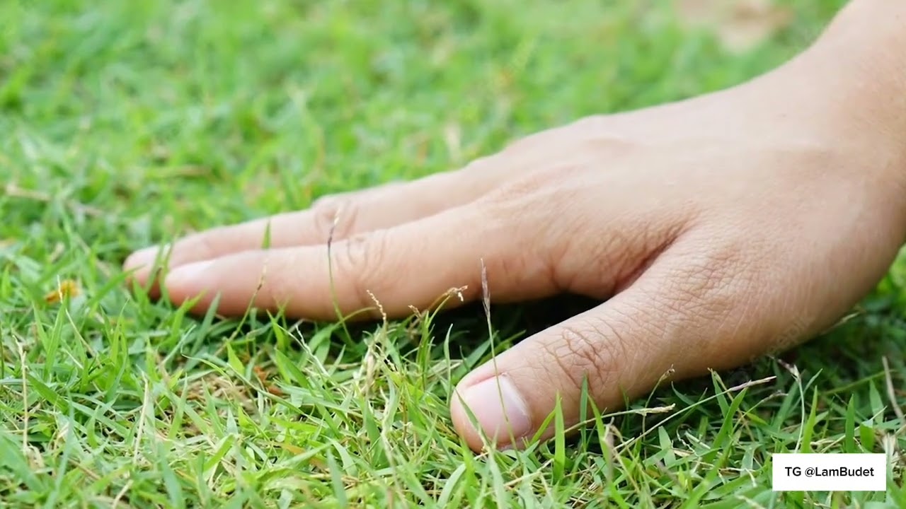 Новый 100% Рабочий СПОСОБ ФАРМА Grass токенов | Farm Грасс токена Абуз