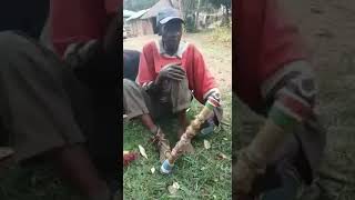 NYATITI PLAYER   LUO LYRE CHORDOPHONE - 20170917 WA0025