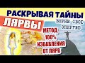 ЛЯРВЫ. Что это? Как избавиться от лярв? 100% действенный метод