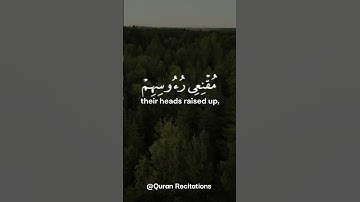 القارئ نايف الفيصل - سورة ابراهيم ٤٢~٤٣