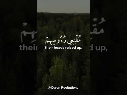 القارئ نايف الفيصل سورة ابراهيم ٤٢ ٤٣ 