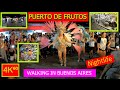 4K⁶⁰ 🚶 - 👉 PUERTO DE FRUTOS (en Carnaval) - Tigre - BUENOS AIRES - Walk - 🌟 ARGENTINA - Viajes -VLOG