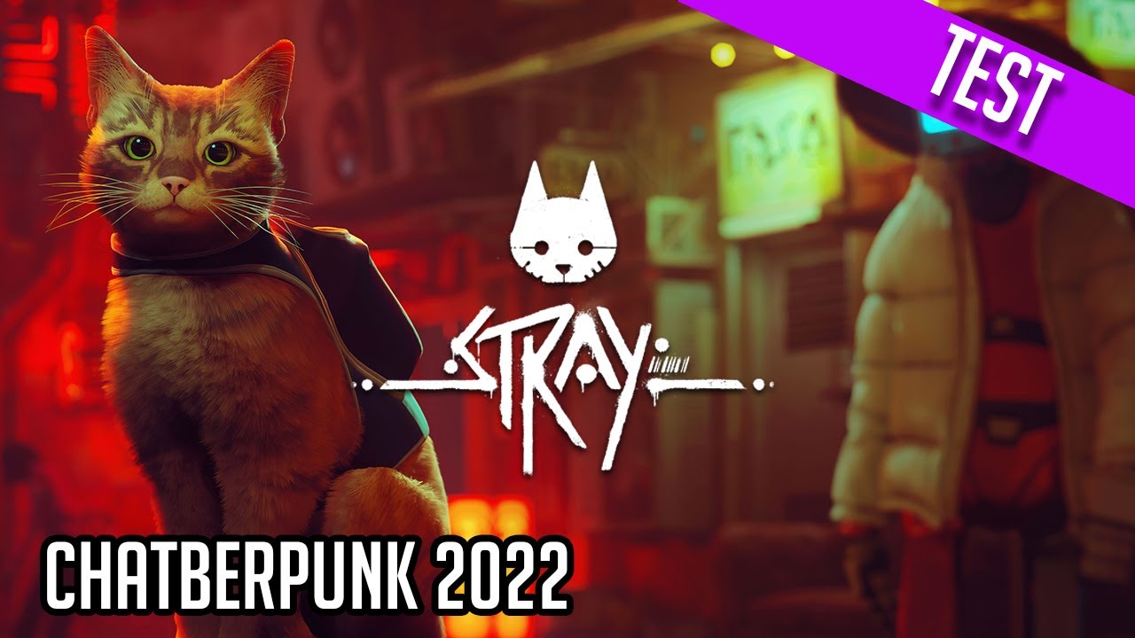 Stray 🐈 Plus beau que Cyberpunk 2077 ? | test et gameplay FR PS5, PS4 & PC