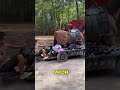 Что скрывают сцены с лошадьми в фильмах 😯