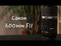 Best Budget Wildlife Lens- Canon 600mm F11 Review