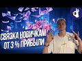 P2P | СВЯЗКА ДЛЯ НОВИЧКОВ ОТ 3% ПРИБЫЛИ | МЕЖБИРЖЕВАЯ P2P ТОРГОВЛЯ