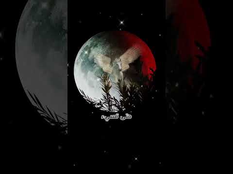 يا طير الخواطر الجزء الثالث 