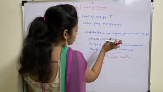 Lecture 28# Agility and cost of change