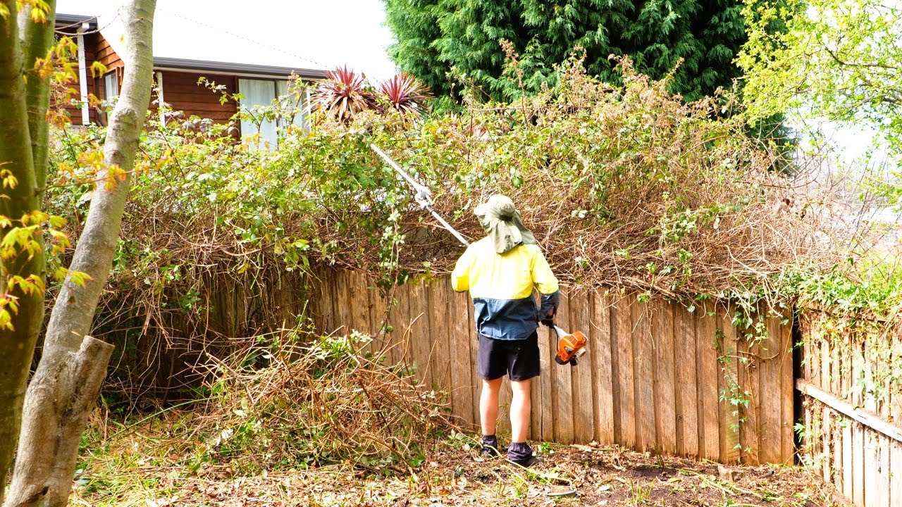 140 часов спустя мы ЗАВЕРШИЛИ самую безумную СПАСАТЕЛЬНУЮ ОПЕРАЦИЮ НА ЗАДНЕМ ДВОРЕ!