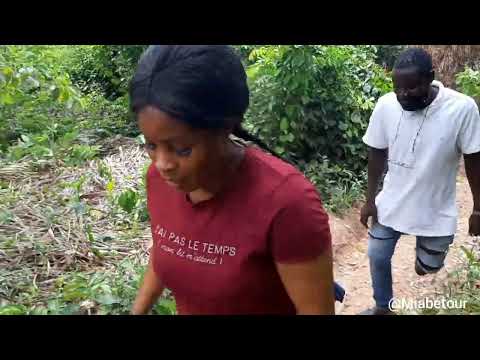 Ballade, sortie, découverte sur le mont Agou-Togo (Kpalimé) - Episode 03