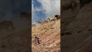 Riding Full Throttle Next to a Stampede of Horses 🤯
