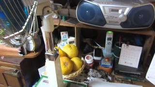 Toshiba Electric fan SF-30D 東芝扇風機 Crystal zephyr 激渋 - YouTube